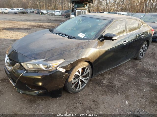 1N4AA6AP0HC364175 Nissan Maxima 3.5 Platinum