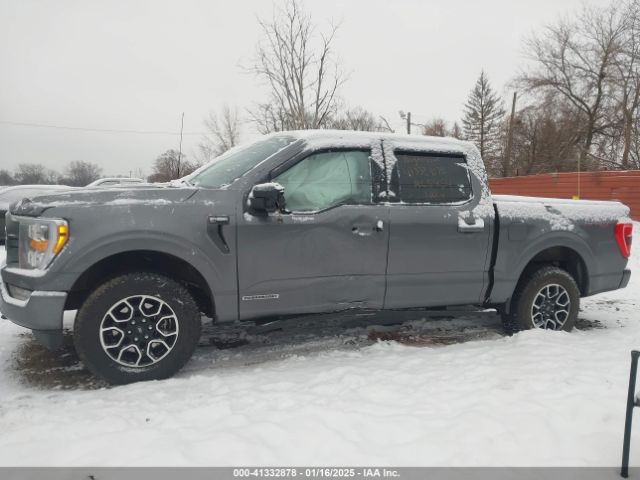 1FTFW1ED1NFA65454 Ford F-150 Xlt