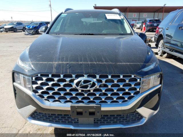5NMS4DAL8PH531504 Hyundai Santa Fe Limited