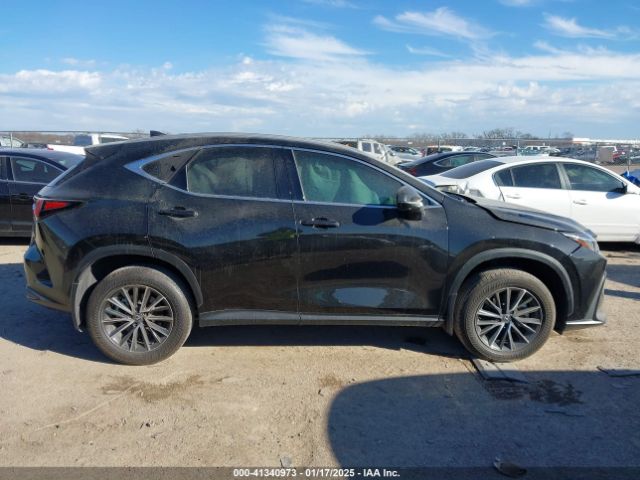2T2HGCEZ2RC042465 Lexus Nx 350 Luxury