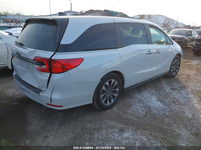 Honda Odyssey Ex-l 2024 5FNRL6H68RB069530 Image 4