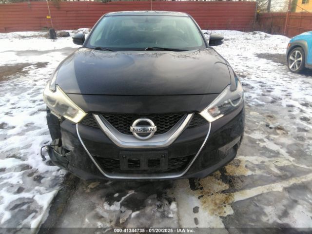 1N4AA6AP2GC381705 Nissan Maxima 3.5 Platinum/3.5 S/3.5 Sl/3.5 Sr/3.5 Sv