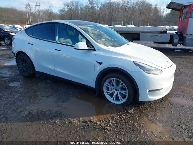 2020 TESLA MODEL Y 5YJYGDEE3LF044932 Photo 0