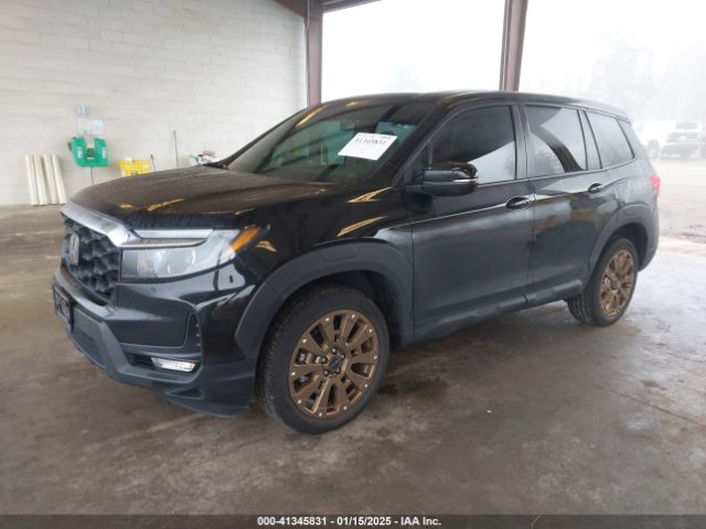 5FNYF8H57PB015431 Honda Passport Awd Ex-l