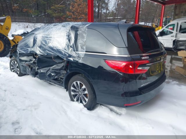 2023 HONDA ODYSSEY 5FNRL6H63PB076625 Photo 2