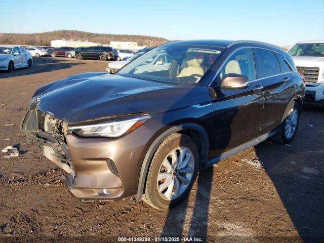 3PCAJ5M34KF113568 Infiniti Qx50 Luxe