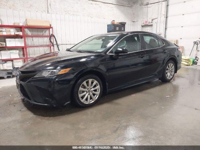 4T1G11AK3LU980527 Toyota CAMRY SE