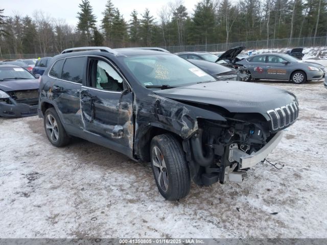 1C4PJMDX1LD574839 auction archive image