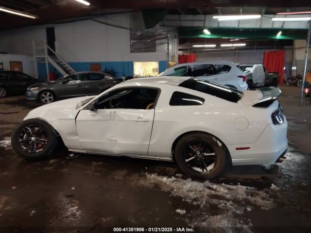 1ZVBP8AM4E5290724 Ford Mustang V6