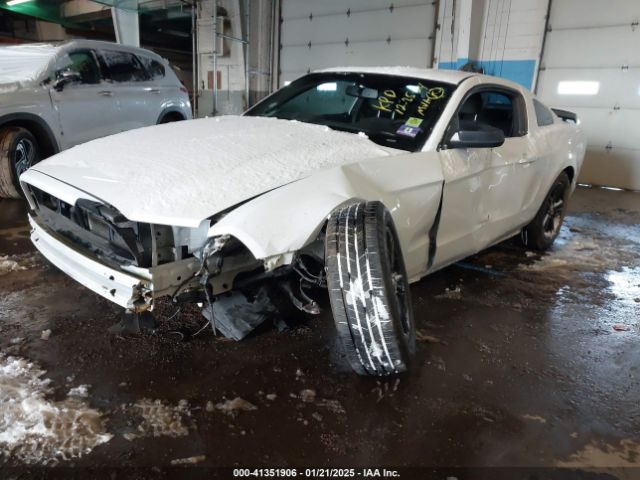 1ZVBP8AM4E5290724 Ford Mustang V6