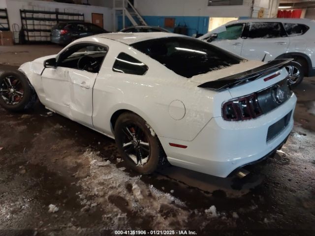 1ZVBP8AM4E5290724 Ford Mustang V6