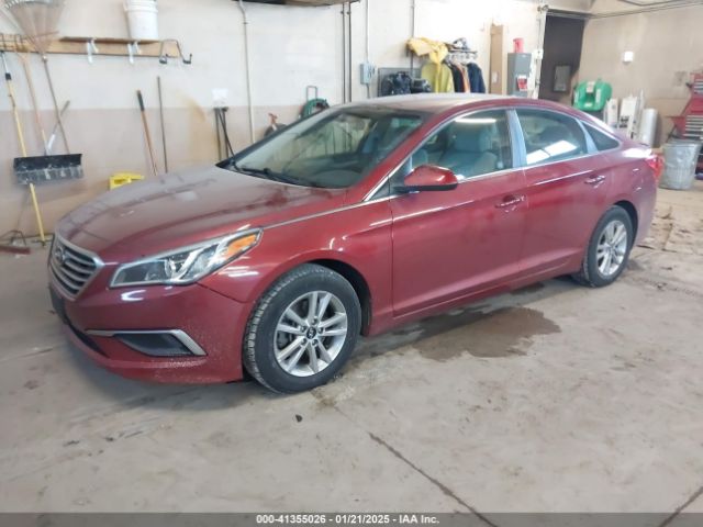 5NPE24AF4GH399857 Hyundai Sonata