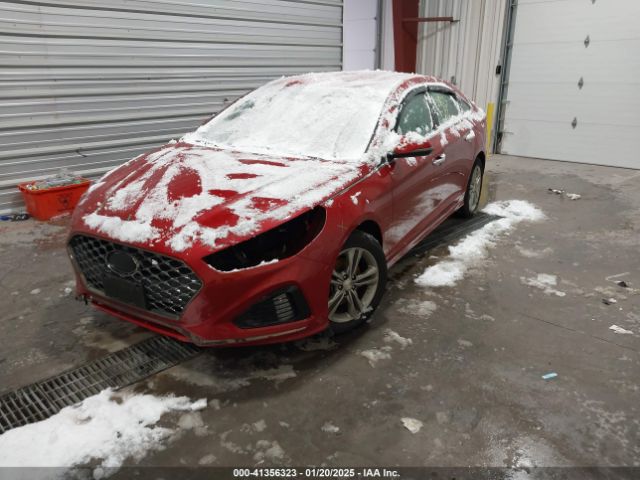 5NPE34AF9JH719453 Hyundai Sonata Sel+