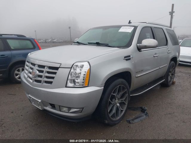 2013 CADILLAC ESCALADE 1GYS4BEF3DR201649 Photo 1