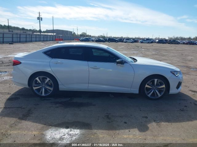 19UUB6F65PA003881 Acura Tlx Advance Package