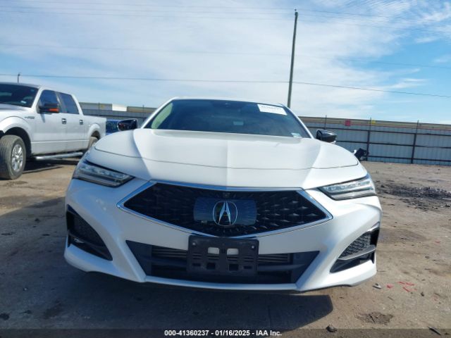 19UUB6F65PA003881 Acura Tlx Advance Package