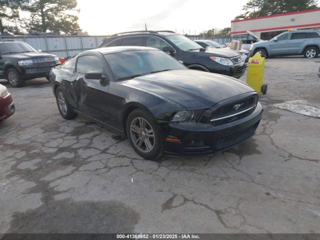 1ZVBP8AM8E5279970 auction archive image