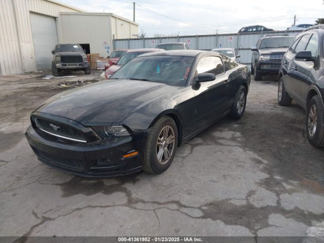 1ZVBP8AM8E5279970 Ford Mustang V6
