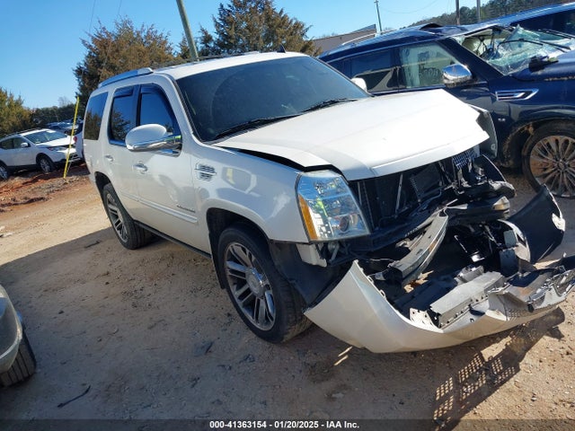 2013 CADILLAC ESCALADE 1GYS4CEF4DR159529 Photo 0