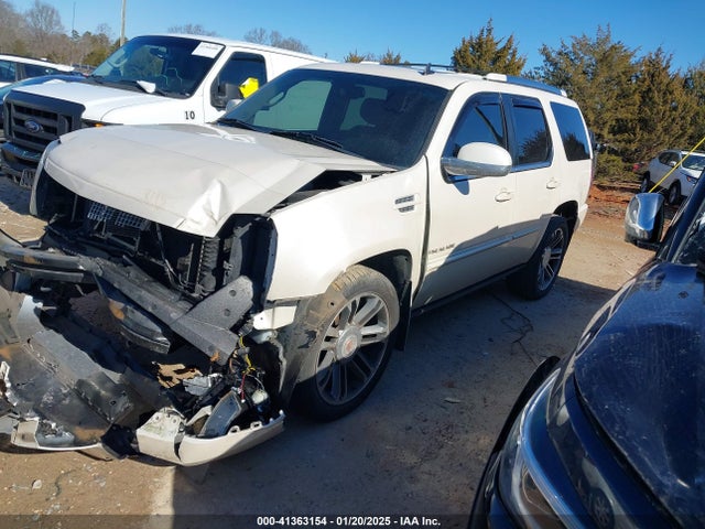 2013 CADILLAC ESCALADE 1GYS4CEF4DR159529 Photo 1
