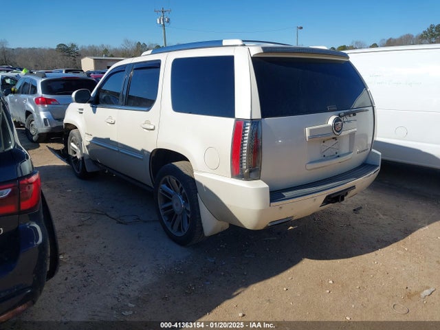 2013 CADILLAC ESCALADE 1GYS4CEF4DR159529 Photo 2