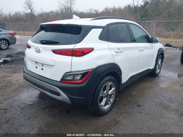 KM8K62AB6PU040648 Hyundai Kona Sel