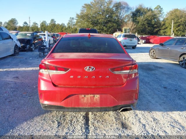 5NPE34AF8KH776583 Hyundai SONATA SEL