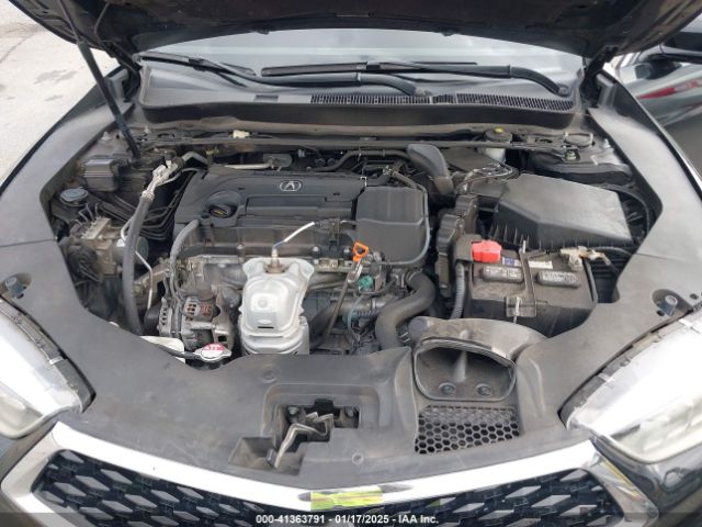 19UUB1F3XKA000234 Acura Tlx Standard