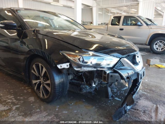 1N4AA6AP1HC364959 Nissan Maxima 3.5 Platinum/3.5 S/3.5 Sl/3.5 Sr/3.5 Sv