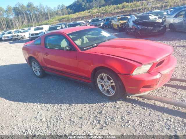 2010 FORD MUSTANG 1ZVBP8AN0A5137504 Photo 0