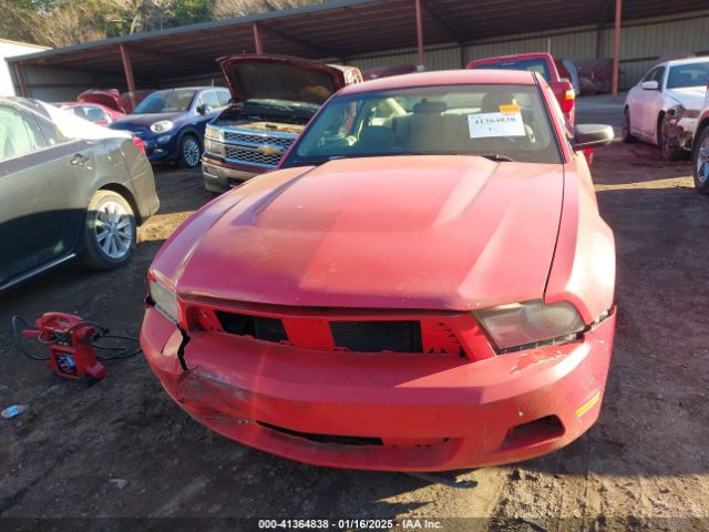 2010 FORD MUSTANG 1ZVBP8AN0A5137504 Photo 5