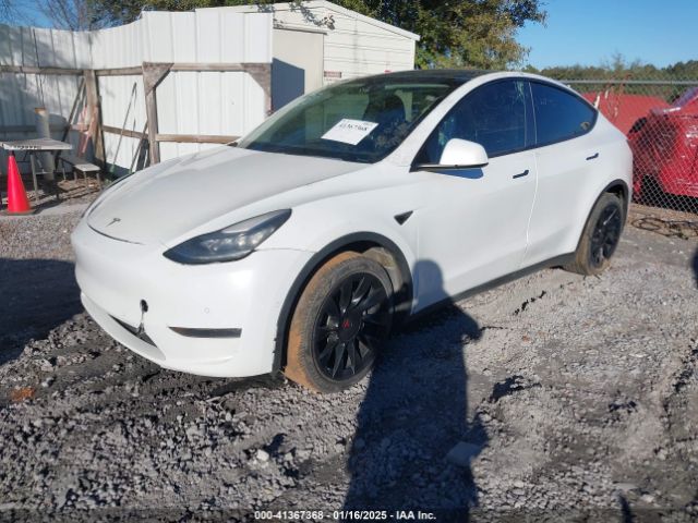 5YJYGDEE4MF076953 Tesla Model Y Long Range Dual Motor All-wheel Drive