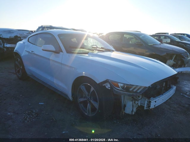 2015 1FA6P8AM1F5319687 главное изображение