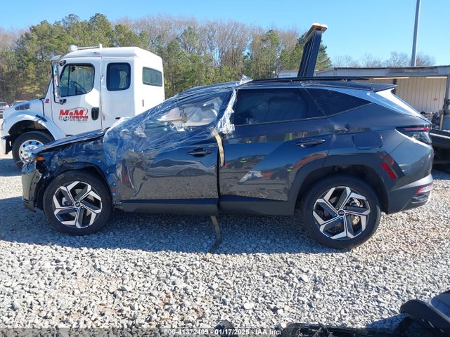 Hyundai Tucson Limited 2024 5NMJECDE4RH352704 Image 15