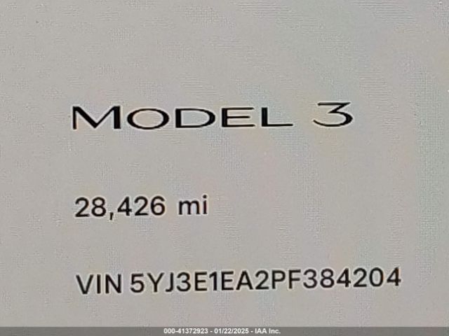 5YJ3E1EA2PF384204 Tesla Model 3 Rear-wheel Drive