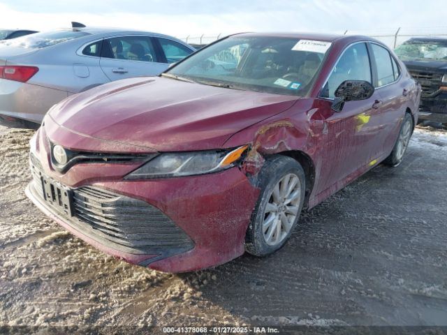 4T1C11AK8LU980022 Toyota CAMRY LE