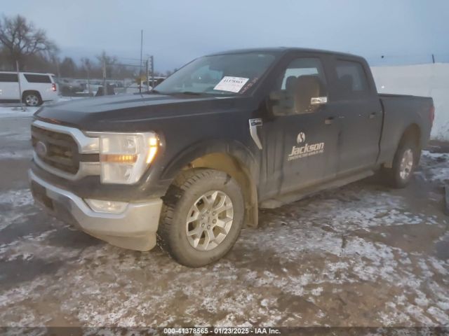 1FTFW1E82MKE69632 Ford F-150 Xlt