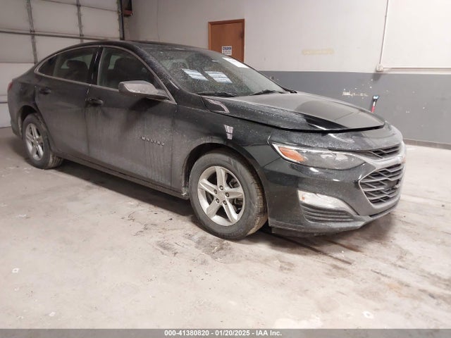 2019 1G1ZB5ST7KF145695 main image