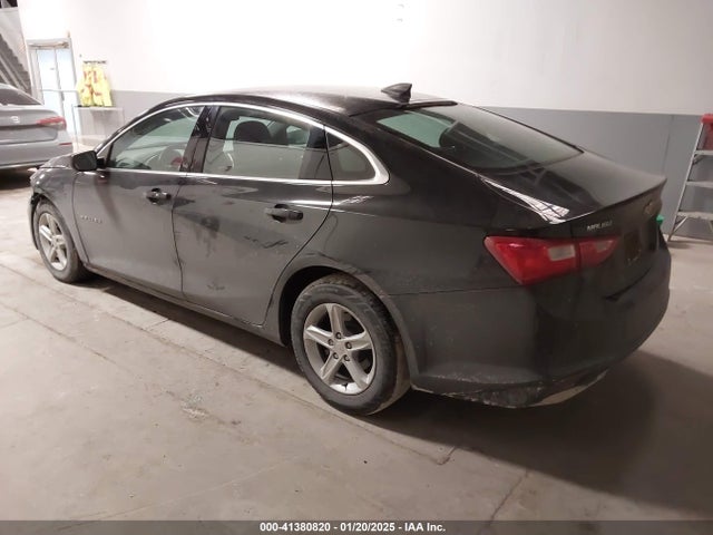 Chevrolet Malibu 1ls 2019 1G1ZB5ST7KF145695 Image 3