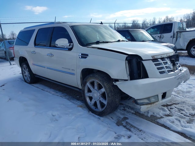 2010 CADILLAC ESCALADE ESV 1GYUKJEFXAR232434 Photo 0