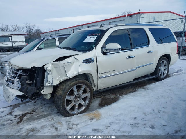 2010 CADILLAC ESCALADE ESV 1GYUKJEFXAR232434 Photo 1