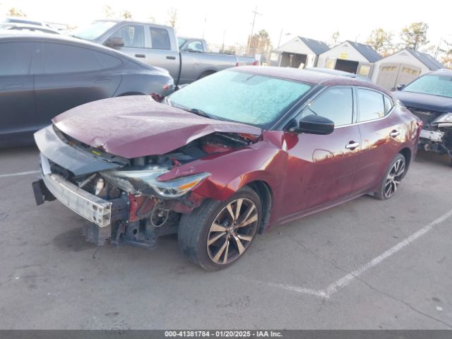 1N4AA6AP6HC441776 Nissan Maxima 3.5 S