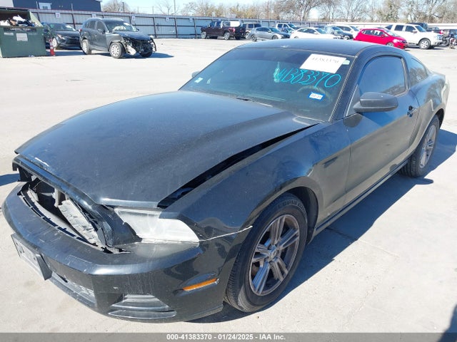 1ZVBP8AM6E5309497 Ford Mustang V6