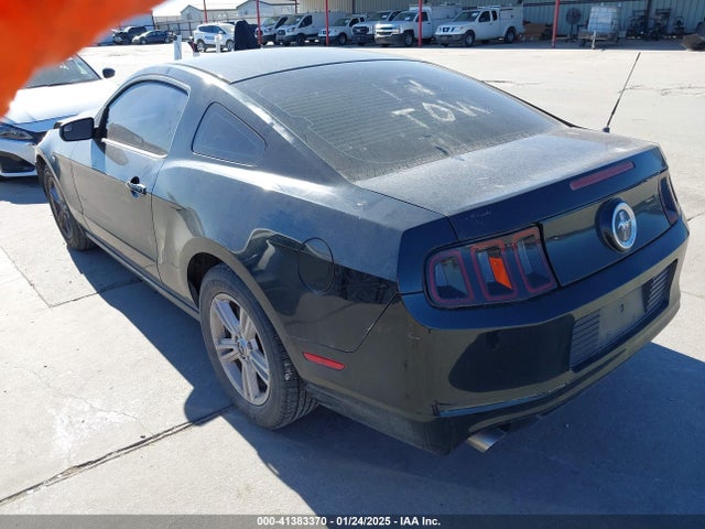 1ZVBP8AM6E5309497 Ford Mustang V6