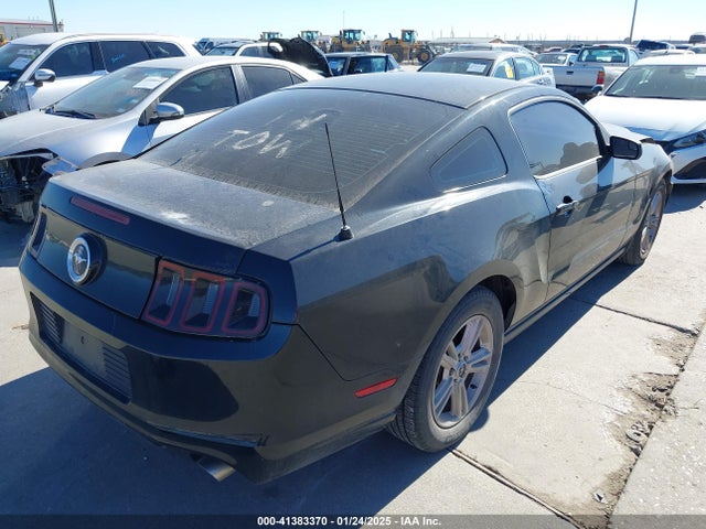 1ZVBP8AM6E5309497 Ford Mustang V6