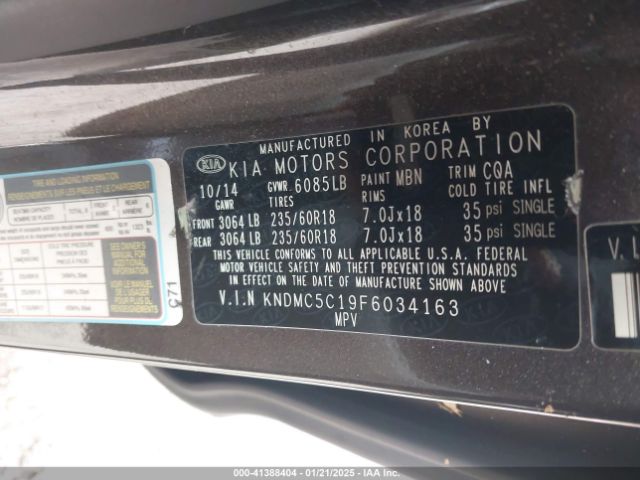 KNDMC5C19F6034163 KIA SEDONA EX