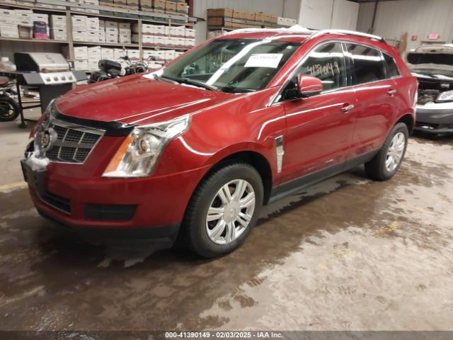 2010 CADILLAC SRX 3GYFNDEY6AS555203 Photo 1