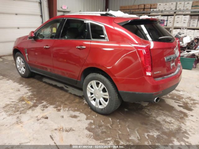 2010 CADILLAC SRX 3GYFNDEY6AS555203 Photo 2