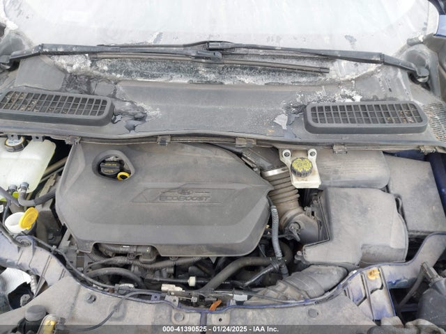 Ford ESCAPE SE 2014 1FMCU0GX4EUE36771 Image 10