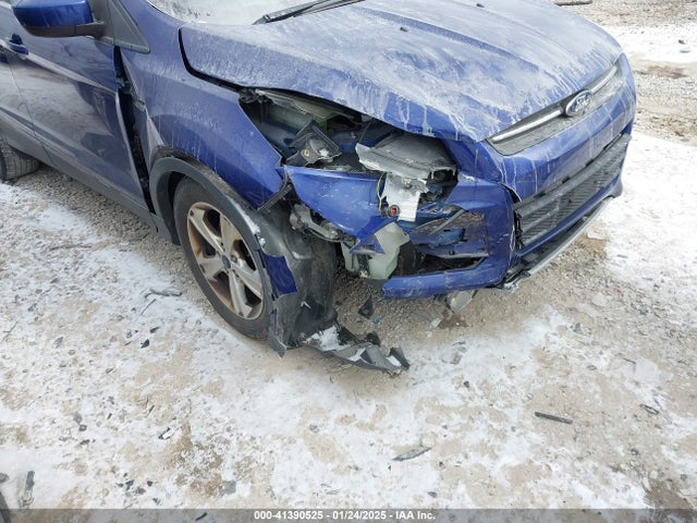 Ford ESCAPE SE 2014 1FMCU0GX4EUE36771 Image 6
